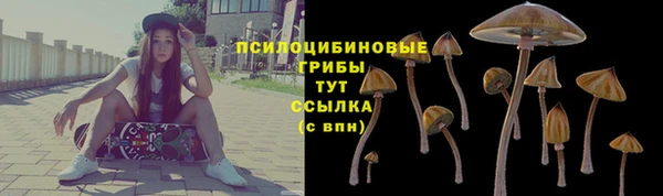 эйфоретик Армянск