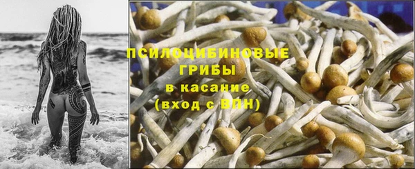 эйфоретик Армянск