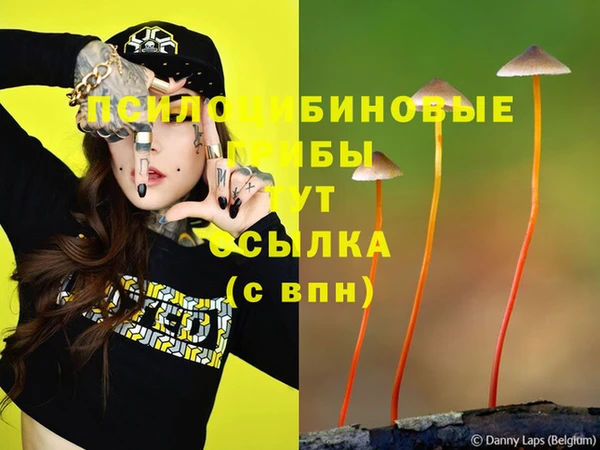 ГАЛЛЮЦИНОГЕННЫЕ ГРИБЫ Няндома