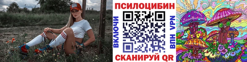 продажа наркотиков  Людиново  площадка клад  Галлюциногенные грибы мухоморы 
