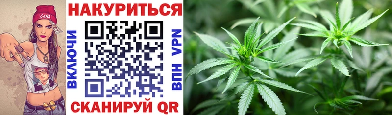 Канабис Amnesia где продают ОМГ ОМГ зеркало Людиново
